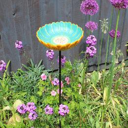African Daisy Bird Drinker product photo