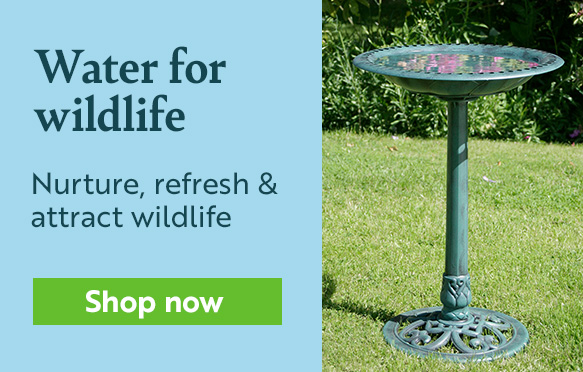 Water for wildlife. Shop now!