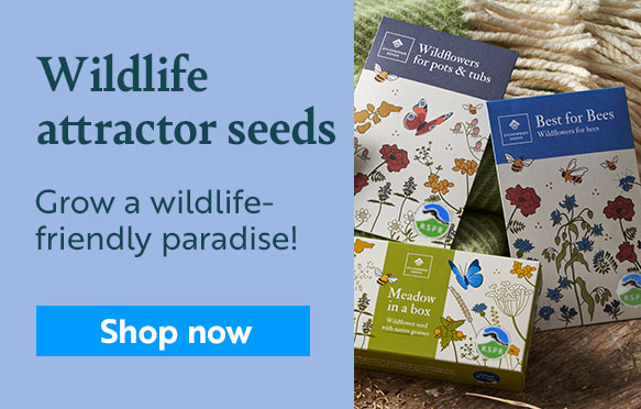 Wildlife attractor seeds. Shop now!