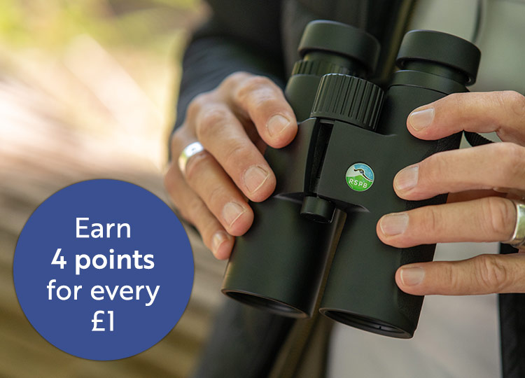 Double loyalty points on optics image