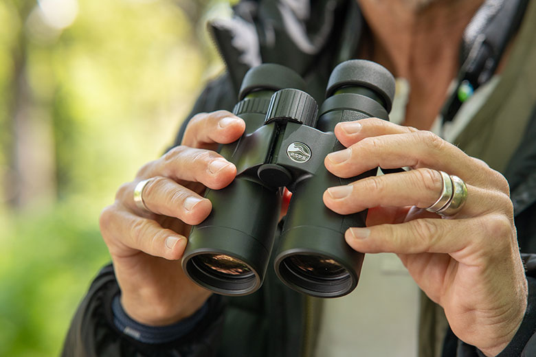 Sparrowhawk binoculars