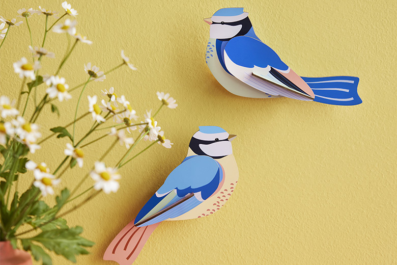 Blue Tit wall art
