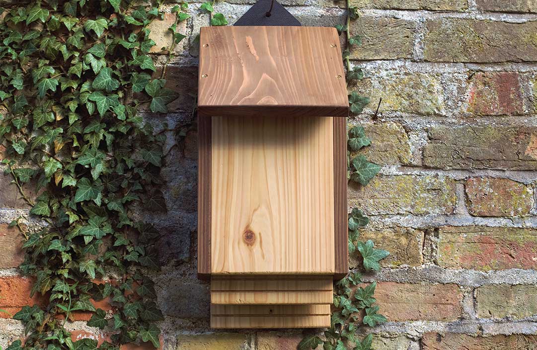 RSPB Burford bat box