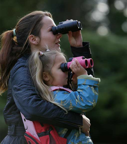 Browse binoculars and accessories at the RSPB shop