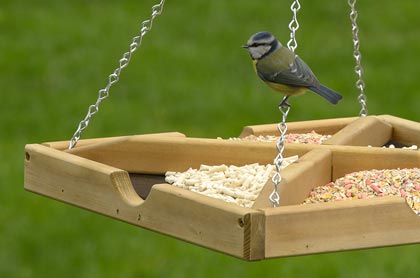 Bird Feeders for Feeding Wild Garden Birds - RSPB Shop