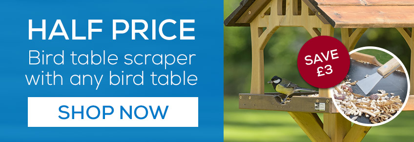 Half price scraper with any bird table. Shop now