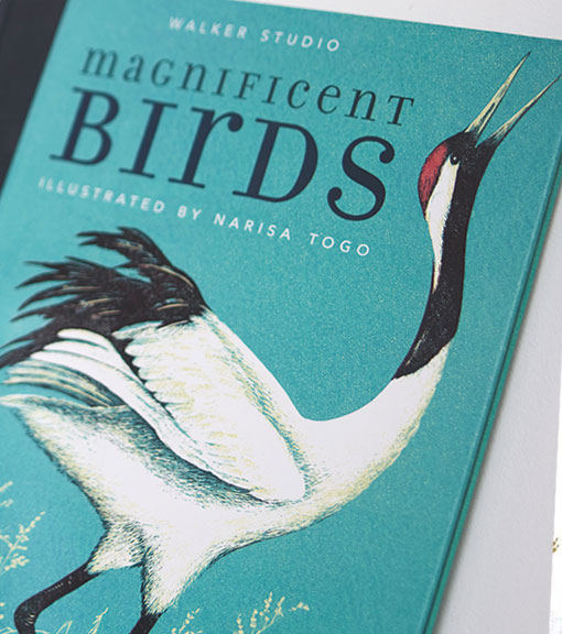 Bird books available to buy from the RSPB