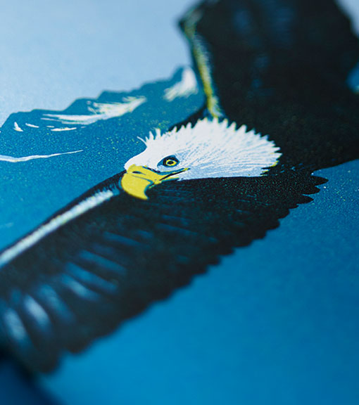 Children's books available to buy from the RSPB