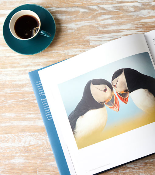 Wildlife books available to buy from the RSPB