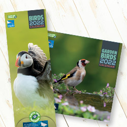 RSPB eco calendar plastic free envelope design