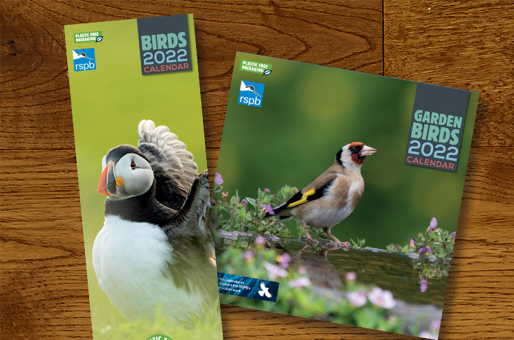 Christmas calendars and diaries lifestyle shot featuring RSPB Garden bird 2020 calendar, RSPB Wildlife 2020 calendar and Angela Harding diary