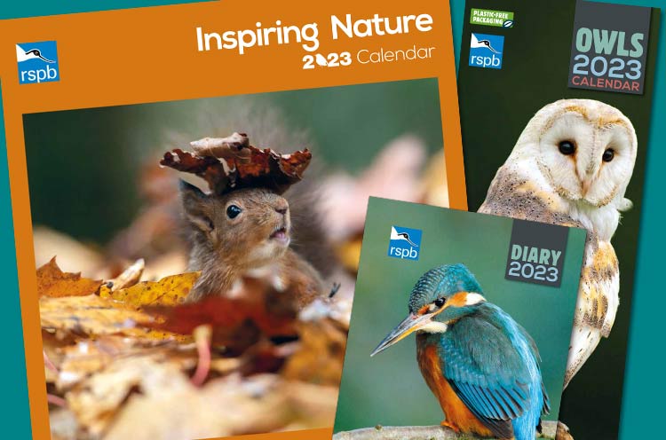 Link to calendars and diaries including RSPB Inspiring nature calendar and diary, and Owls 2023 calendar.