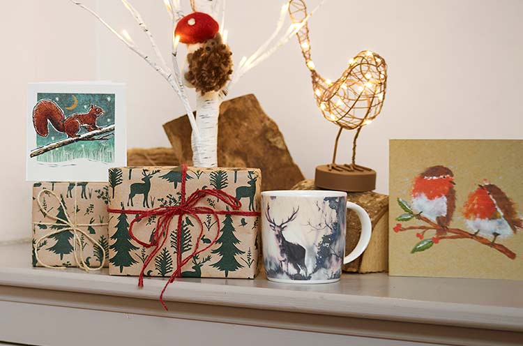 Shop our RSPB Christmas gift ideas