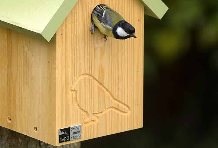Hanging metal Watering Can bird house nest box garden ornament bird lover gift 
