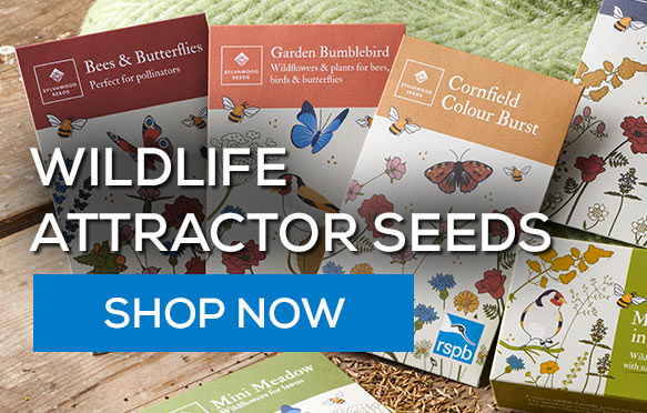 Wildlife attractor seeds. Shop now!