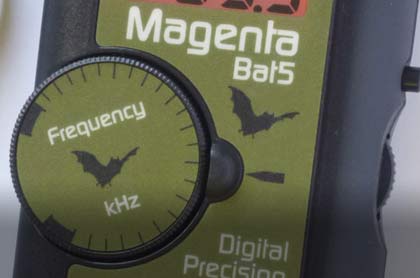Magenta 5 Bat detector