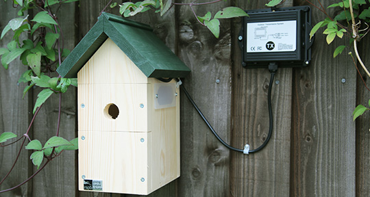 RSPB Bird Feeder Cameras