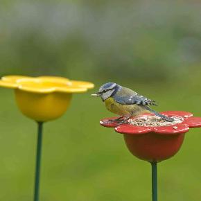 Ceramic Bird Feeder Yellow Petal Ceramic Feeder Rspb Shop