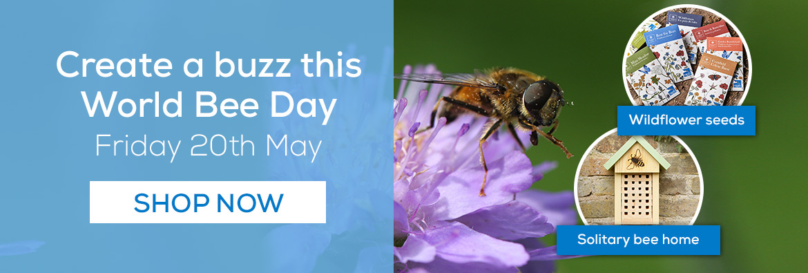 Create a buzz this World Bee Day. Shop now