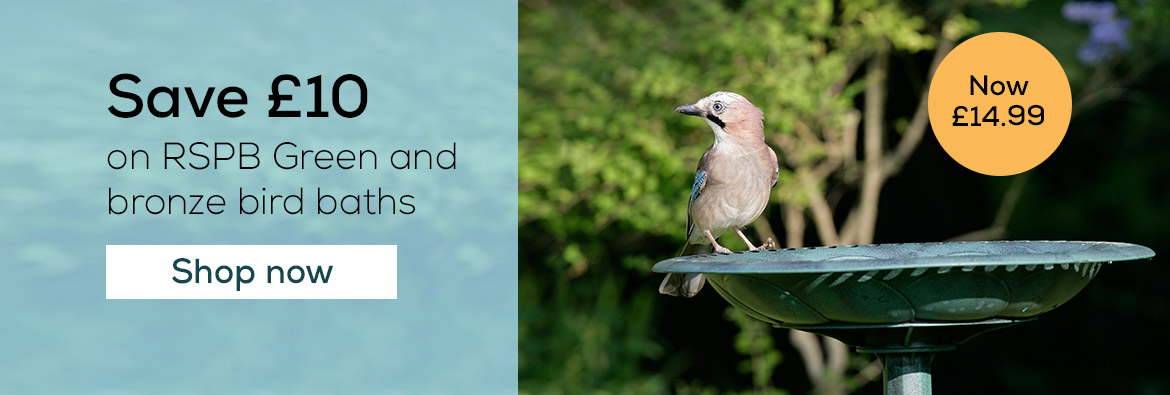 Save £10 on RSPB Green and bronze bird baths. Shop now