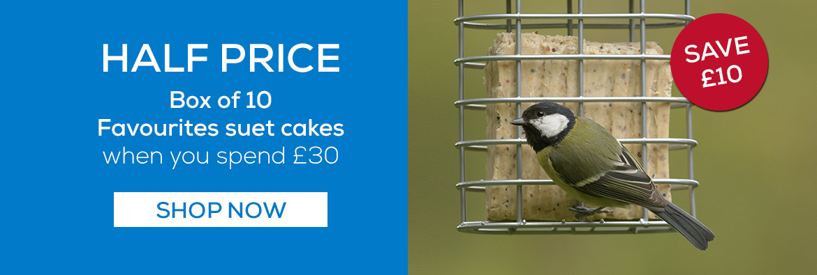 Half price box of 10 Favourites suet cakes when you spend £30. Shop now!