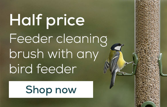 Half price feeder cleaning brush with any bird feeder. Shop now