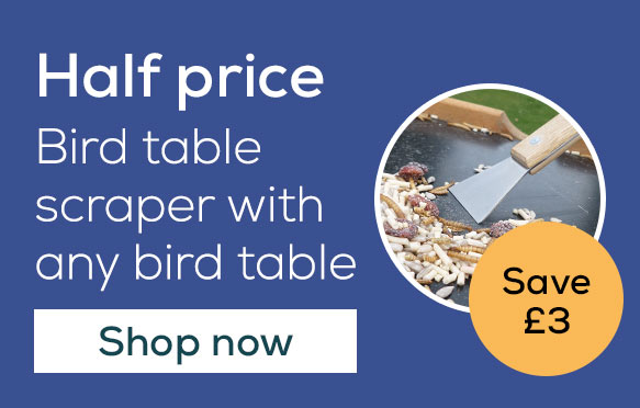 Half price bird table scraper with any bird table. Shop now!