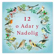 12 o Adar y Nadolig Welsh Christmas cards - pack of 10 product photo