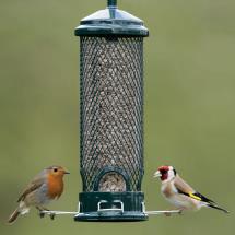 Squirrel Proof Nut Nibble Feeder Rspb Shop