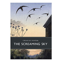 The Screaming Sky product photo