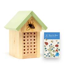 Solitary bee house with wildflower seeds product photo