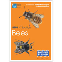 Bees identifier chart - RSPB ID Spotlight series product photo