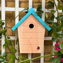 RSPB Cabin nest box, aquamarine product photo