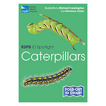RSPB ID Spotlight - Caterpillars product photo