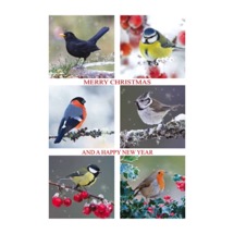 Christmas cheer RSPB charity Christmas cards - 10 pack product photo