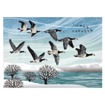 Christmas skein RSPB charity Christmas cards - 10 pack product photo