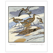 Curlews greetings card product photo