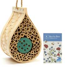 Dewdrop bee biome with wildflower seeds product photo