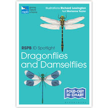 Dragonflies and damselflies identifier chart - RSPB ID Spotlight series product photo