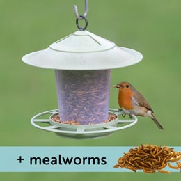 Eco beacon feeder with mealworms product photo