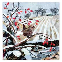 Frosty furrows wren Christmas cards - pack of 10 product photo