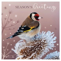 Frosty goldfinch RSPB charity Christmas cards - 10 pack product photo