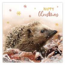 Hedgehog and snowflakes Christmas cards - pack of 10 product photo