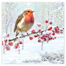Icy robin Christmas cards - pack of 10 product photo