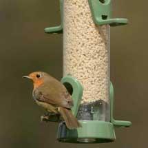 rspb bird nuts