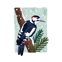 Let it snow RSPB charity Christmas cards - 10 pack product photo