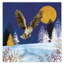 Lunar flight owl Christmas cards - pack of 10 product photo