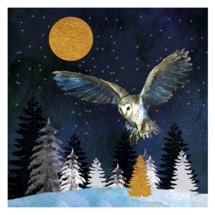 Moonlit flight RSPB charity Christmas cards - 10 pack product photo