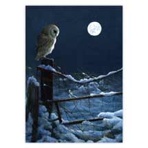 Moonlit watch owl Christmas cards - pack of 10 product photo