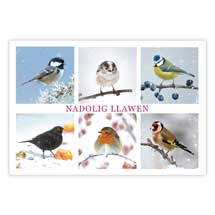 Nadolig Llawen Welsh Christmas cards - pack of 10 product photo